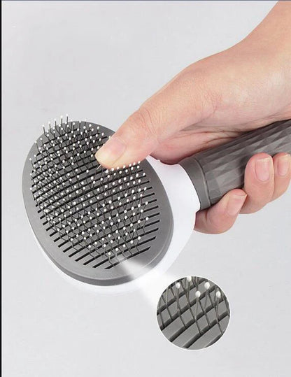 Hair Brush