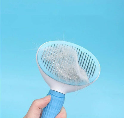 Hair Brush